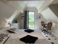 Maison d'hôtes La Danasha Отели в г. Сюлли-сюр-Луар