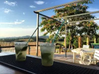 "Villa Bizzi"