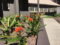 Cumberland Lorne Resort