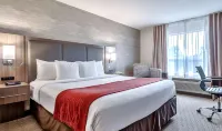 Comfort Inn & Suites Airport South Hotels in Calgary
