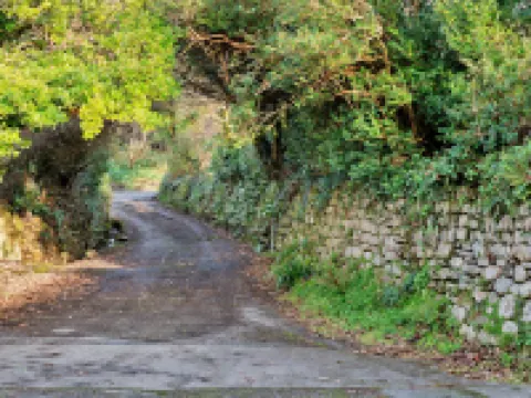 The Noel at Lesceave