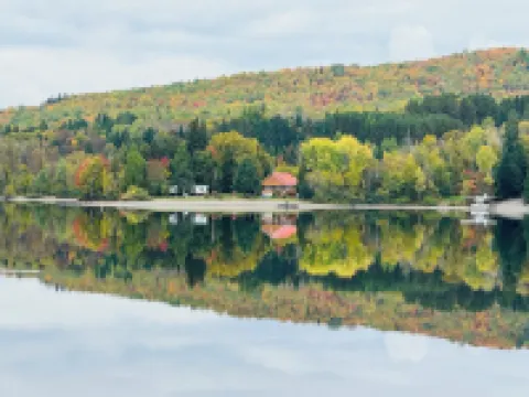 Private Lakefront Cabin