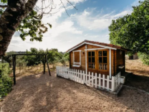 Quinta de S. Miguel 'Casa Das Oliveiras Fundão otelleri