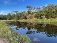 Convenient & Cosy Mountain Retreat in Omeo - Ski or Bike Ride this Winter