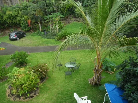 A Beautiful Edge of the World Bed & Breakfast Отели рядом с достопримечательностью «Greenwell Coffee Farm»