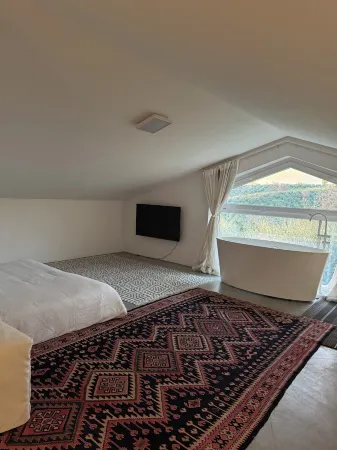 Country villa with pool near Rome