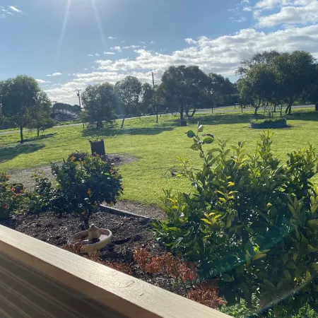 Aggies is a 2 bedroom cottage in a semi rural part of Goolwa. Close to the river