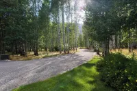 A quaint cottage in the woods. Close to world class ski resort, Sun Valley.