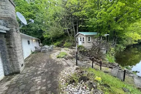 Cottage Paradise - Water, Woods and Nature Отели в г. Грей Хайлендс