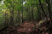 One of a kind 4-bedroom barndominium in Warsaw, Ohio on 23 wooded acres.