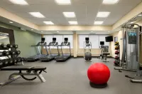Hampton Inn Lexington Park - Gym