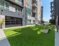 Modern and Lavish apartment