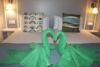 Vista lobos flamingo beach