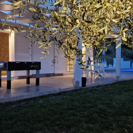 Cozy villa with pool nestled among the ancient olive trees of Cilento