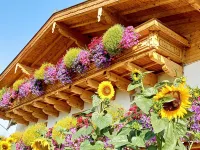 Apartment in Saalfelden Near Ski Slopes