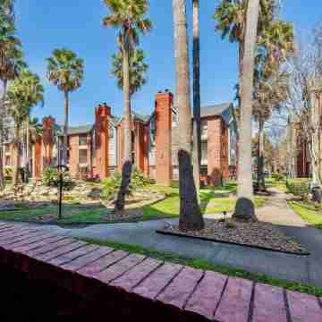 Home Sweet Home - Medical Center - 30+ day stays Others