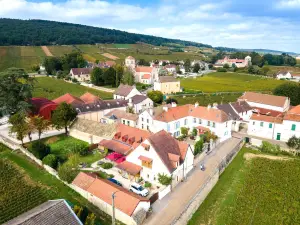 Hôtel les Deux Chèvres Gevrey-Chambertin