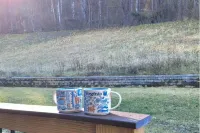 NewRiverGem - Near Radford U & Virginia Tech - Choreless Checkout, Pet Friendly Hotels in Radford