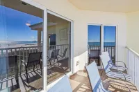 선셋 비스타스 603w