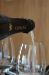 Das Kaya Hotel Stuttgart Airport Messe - Barer