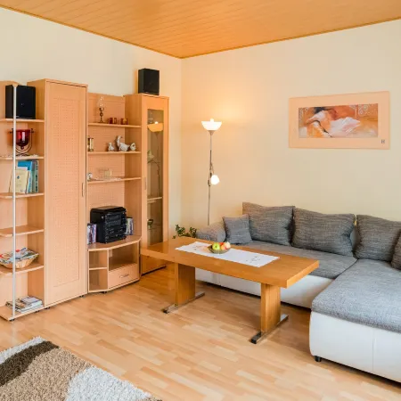 Medebach Nature Apartment