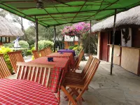 The Great Circle Lodge - Hostel