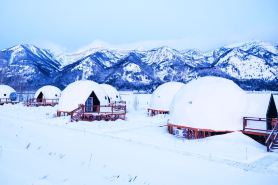 Tammah Jackson Hole