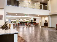 Comfort Suites Wooster Near University Campus Hotels in Wayne County