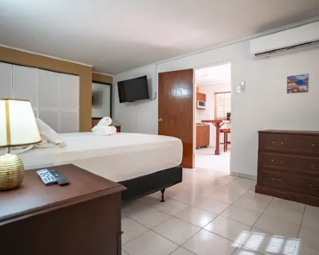 椰子酒店 棕櫚灘酒店