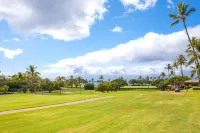 Kbm Resorts Free Car Maui El Dorado Ocean View 1-Bedroom Condo Mel-H207
