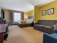 Comfort Inn & Suites Hotels in Dover