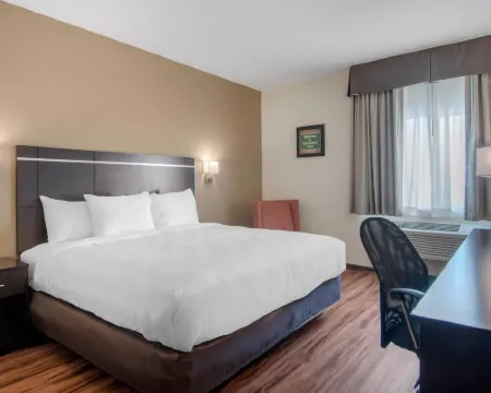 Econo Lodge Inn & Suites Hotels in Springfield