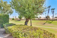 Sunny Palm Desert Pad w/ Patio & Pool Access! - Lejligheder