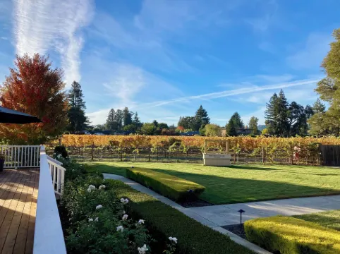 더 세팅 인 나파 밸리