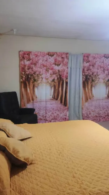 อโลฆามิเอ็นโต โอลซี