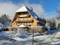 Hotel Adler Bärental Hotels in Feldberg