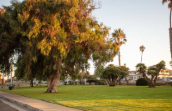 Guest Favorite! Walkable to Beach, Restaurants & Shops