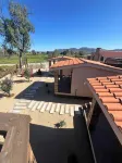 Terra Videira