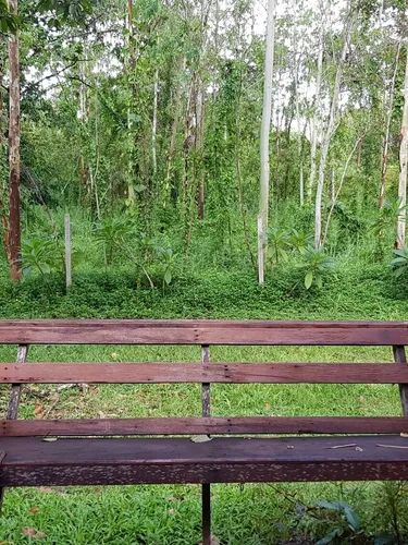 รูปภาพของเรนโบว์ รีสอร์ท อำเภอเพ็ญ