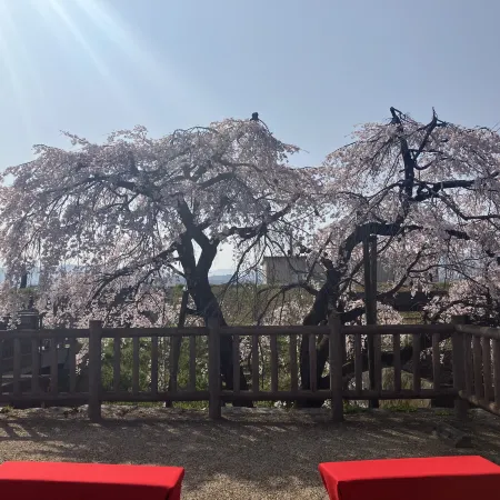 Oyado Sakura Gojo Station Отели в г. Годзё