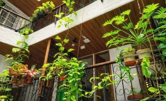 Hotel Boutique Casa del Hidalgo