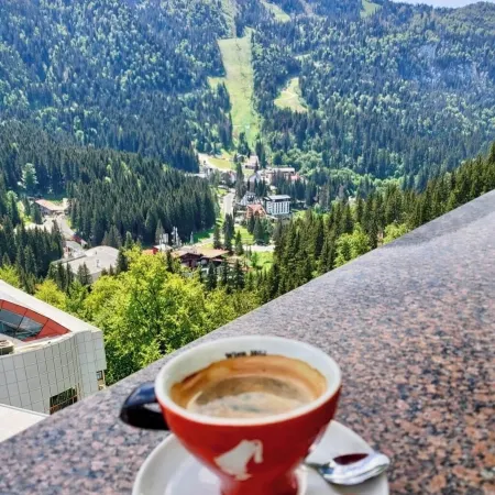 Hotel Piatra Mare