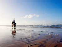 Pullman Mazagan Royal Golf & Spa - Beach