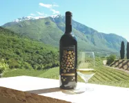 Agritur Casteller - Bergblick