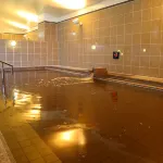 Natural Spa, Kanazawa Hotel Yumenoyu - 溫泉