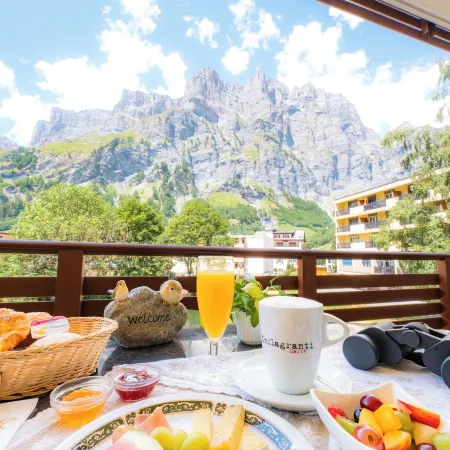 Hotel Dala