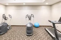 Rodd Royalty - Gym
