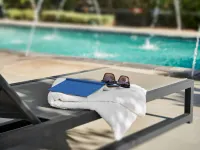The Darling - Pool