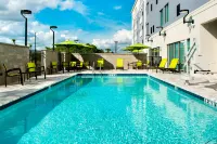 SpringHill Suites Tampa Suncoast Parkway - Pool