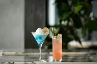 Sheraton Kagoshima - bar